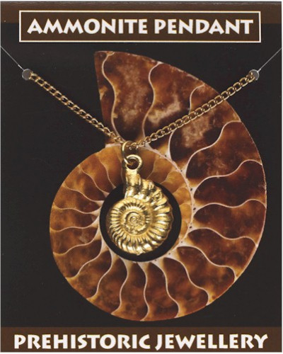 Ammonite Pendant - Gold Plated