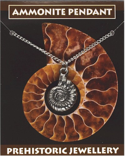 Ammonite Pendant - Pewter
