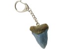 Megalodon Tooth Key-Ring