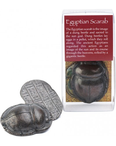 Egyptian Scarab