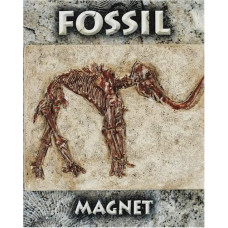 Mammoth Fossil Magnet