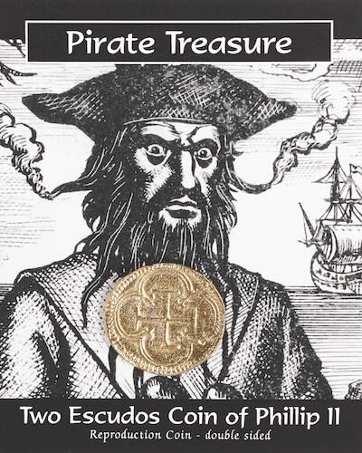 Pirate Treasure Coin Pack