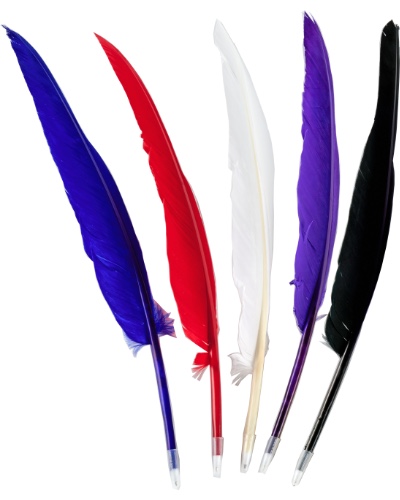 Loose Quill Pen 30-35cm Loose Quill Pen 30-35cm